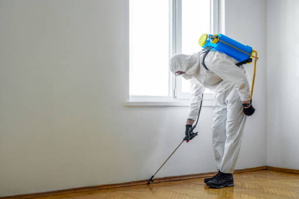 Best Pest Prevention Services  in Chalmette, LA