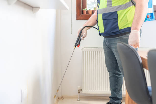 Best Rat Extermination Near Me  in Chalmette, LA