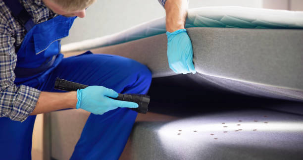 Best Mosquito Control Services  in Chalmette, LA