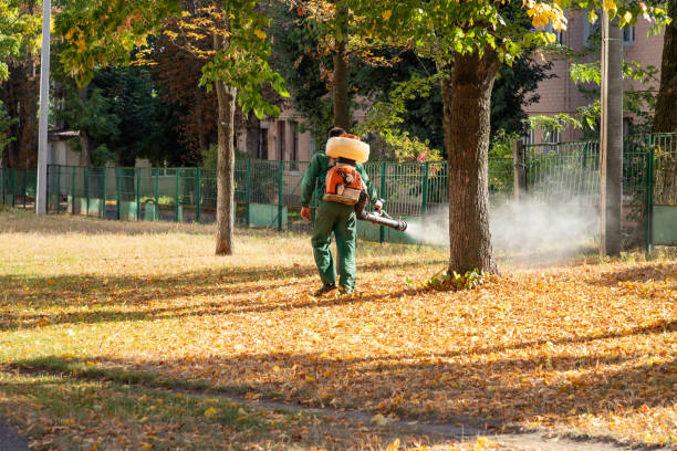 Trusted Chalmette, LA Pest Control Experts