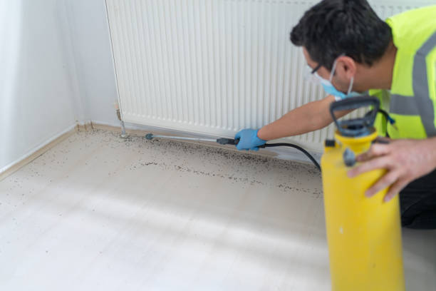 Best Best Pest Control Companies  in Chalmette, LA